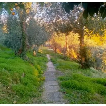 Panoramica Sara E Chiara Villa Santa Lucia